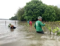 LindungiHutan Ajak Publik Lestarikan Alam di Hari Konservasi Alam Sedunia