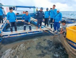 MIND ID Komitmen Perkuat Pendampingan Budidaya Ikan Laut