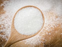Mononatrium Glutamat: Zat Aditif Penguat Rasa yang Paling Banyak Digunakan dalam Makanan