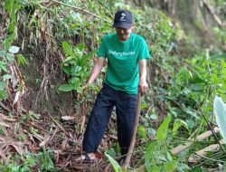 Tiga Lokasi Penanaman Paling Mendesak Tahun Ini: Wonogiri, Cilacap, Mempawah