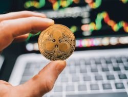 XRP Tiba-Tiba Naik 3%, Apakah Dampak Ripple Cabut Banding terhadap SEC?