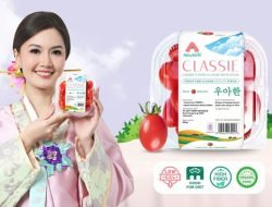 Artis Asty Ananta Hadirkan Cherry Tomato Stevia Premium Pertama di Indonesia dengan Inovasi teknologi Infusion
