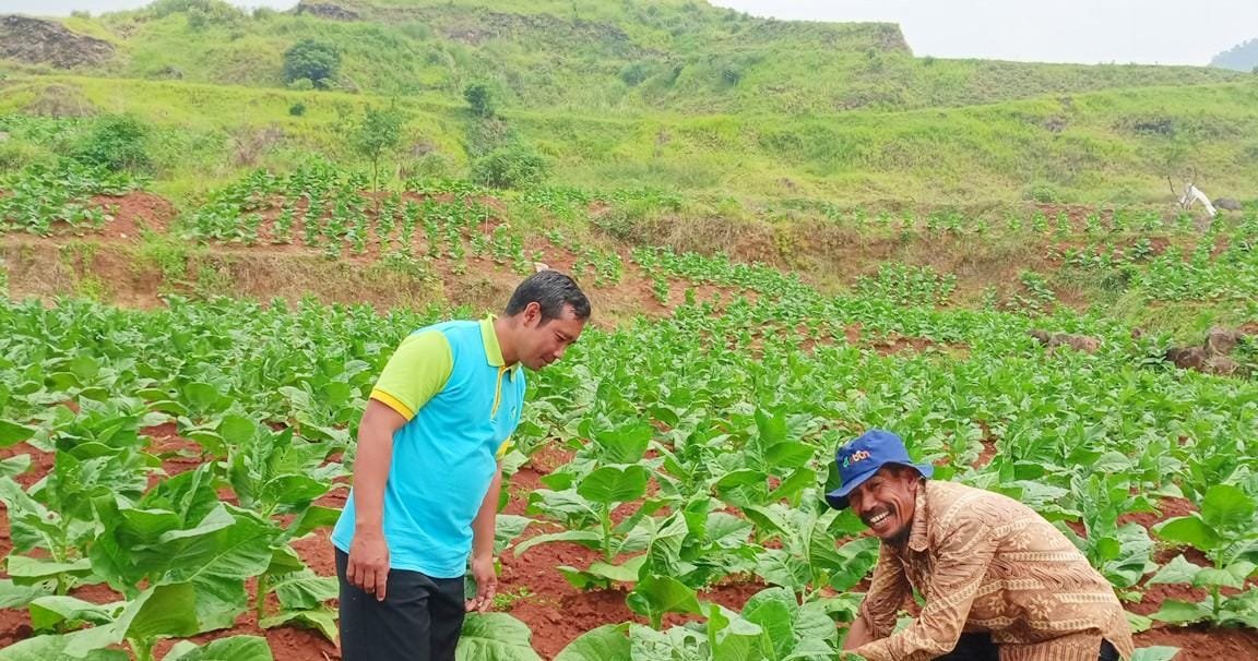 UPTD Pertanian Sumedang