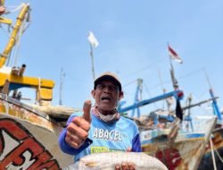 Forayya Fish Skin Katsuobushi, Inovasi Keripik Kulit Ikan Barakuda Siap Mendunia