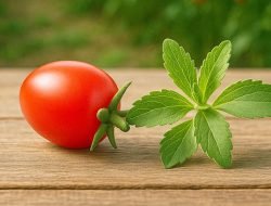 Tomat Tapi Manis? Astyfarm Ciptakan Terobosan Baru di Dunia Hortikultura