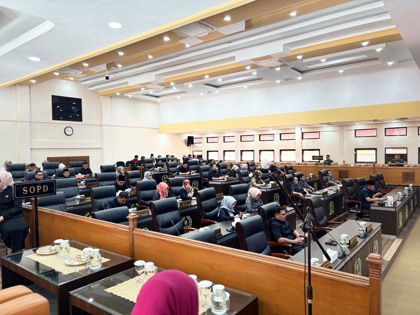 RAPBD Perubahan 2025 Sumedang