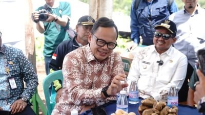 Lokasi KDKMP Ciptasari Sangat Ideal