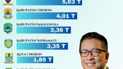 investasi Sumedang 2025