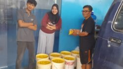 BUMDes Gunturmekar Kembangkan Musang King, Dorong Ketahanan Pangan dan Ekonomi Desa