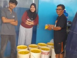 BUMDes Gunturmekar Kembangkan Musang King, Dorong Ketahanan Pangan dan Ekonomi Desa