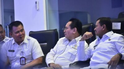 digitalisasi pemerintah daerah