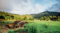 Desa di Sumedang Ini Punya Suasana Tenang dan View Alam Asri