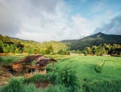 Desa di Sumedang Ini Punya Suasana Tenang dan View Alam Asri