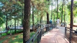 7 Wisata Tersembunyi di Sumedang yang Jarang Diketahui, Cocok untuk Healing