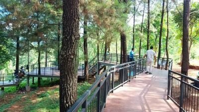 7 Wisata Tersembunyi di Sumedang yang Jarang Diketahui, Cocok untuk Healing