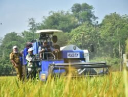 Bupati Dony Apresiasi Panen Raya Tolengas, Salurkan Alsintan untuk Perkuat Ketahanan Pangan Sumedang
