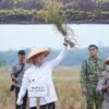 Panen Raya Bersama TNI di Ujungjaya, Sumedang Perkuat Dukungan Ketahanan Pangan Nasional