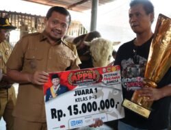 Robinhood, Sapi Sumedang Bobot 1,4 Ton Juara Nasional Kontes Piala Presiden 2026